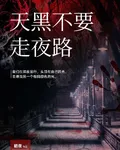 天黑不要走夜路 封面