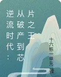 逆流時代：從破產到芯片之王 封面