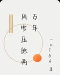 風雪壓他兩萬年 封面