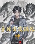 手握雷霆鎮乾坤 封面