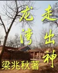 走出神龍灣 封面