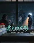 霜光映疚影 封面