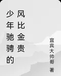 少年馳騁的風比金貴，中長跑 封面