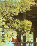 折戟桃花雪 封面