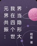 元界共振：我在四個世界當隱形大 封面