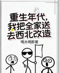 重生年代，我把全家送去西北改造 封面