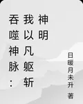吞噬神脈：我以凡軀斬神明 封面