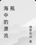 海中的漂流瓶 封面