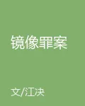 鏡像罪案 封面
