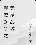 漫威DC之無盡戰域 封面