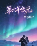 第六年極光 封面
