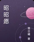 昭昭願 封面