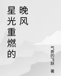 星光重燃的晚風 封面