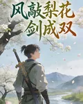 風敲梨花劍成雙 封面
