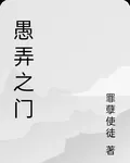 愚弄之門 封面