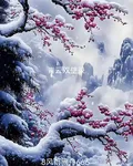 青雲雙壁錄 封面