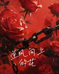 逆風向上的花 封面