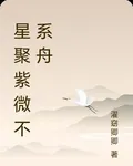 星聚紫微不繫舟 封面