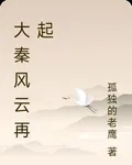 大秦風雲再起 封面