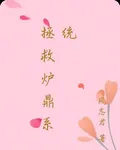拯救爐鼎系統 封面