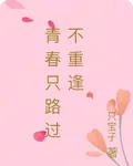 青春只路過不重逢 封面