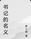 書記的名義 封面