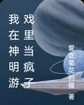 我在神明遊戲裏當瘋子 封面