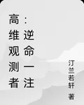 高維觀測者：逆命一注 封面