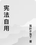 憲法自用 封面