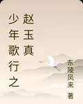 少年歌行之趙玉真 封面