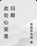 此處心安是歸期 封面