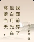 離婚當天，他白月光在我面前碎了 封面