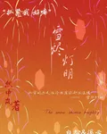 雪燼燈明 封面