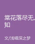 棠花落盡無人知 封面
