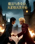 魔法與查克拉，從霍格沃茨開始 封面