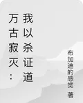 萬古寂滅：我以殺證道 封面