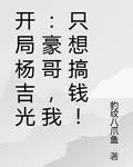 開局楊吉光：豪哥，我只想搞錢！ 封面