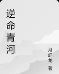 逆命青河 封面