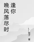 晚風落盡時又逢你 封面