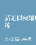驕陽似我婚後篇 封面
