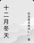 十二月冬天 封面