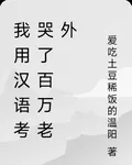 我用漢語考哭了百萬老外 封面