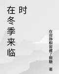 在冬季來臨時 封面