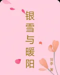 銀雪與暖陽 封面
