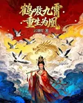 鶴唳九霄重生爲鳳 封面