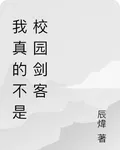 我真的不是校園劍客 封面