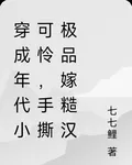 穿成年代小可憐，手撕極品嫁糙漢 封面