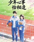 少年心事恰相逢 封面