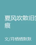 夏風吹散舊夢痕 封面