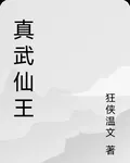 真武仙王 封面